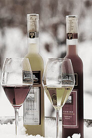 ВСЕРОССИЙСКАЯ АКЦИЯ «ДНИ РОССИЙСКИХ ВИН»