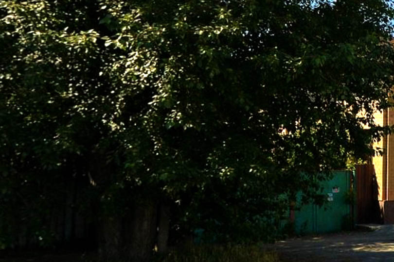 Место расположение бара 55161