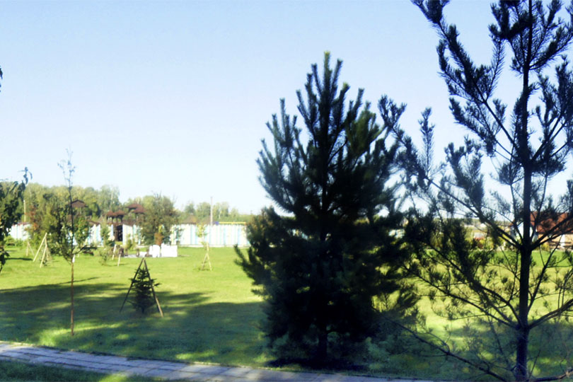 Кафе Любава на Базе отдыха Боярская Станица фото 6