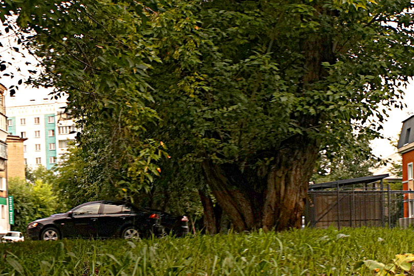 Парковка у гостиницы Альбион