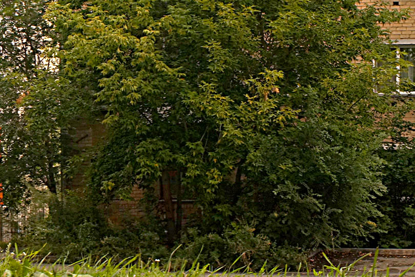 Район гостиницы Альбион