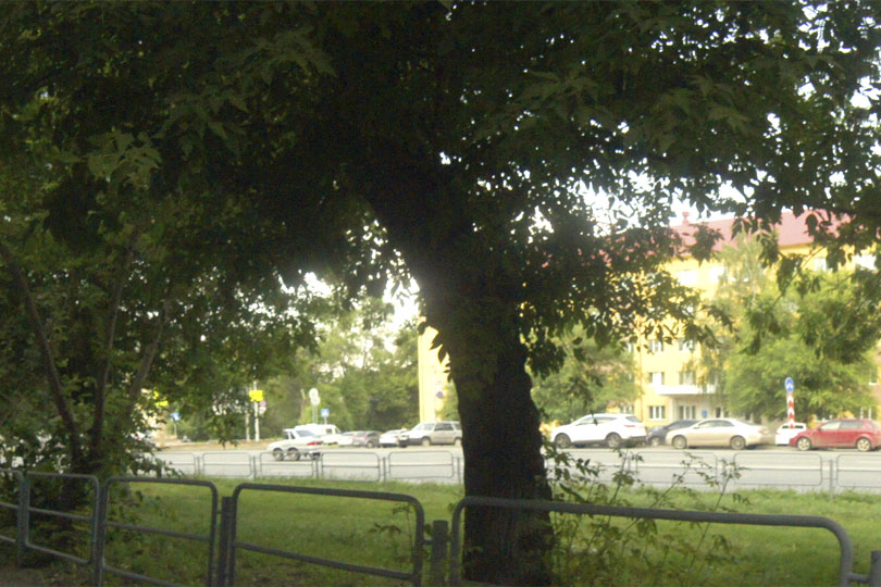 место расположение  студии Базилик фото 3