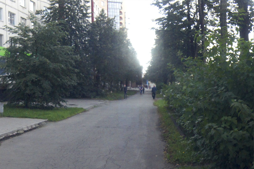 Кафе Беседка на Комсомольском фото 3