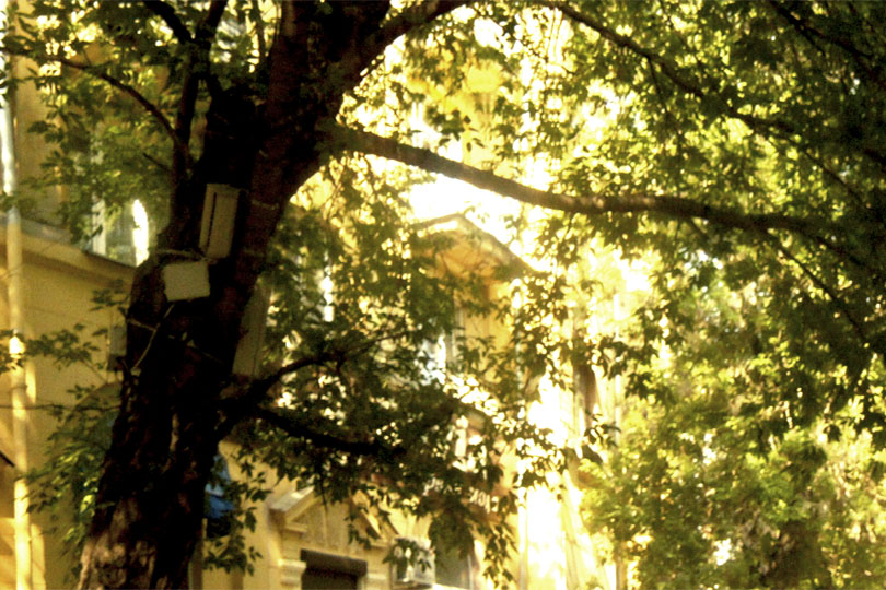 Вход в кофейню Бешеный Будуар фото 3 