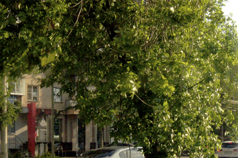 Ресторан Декамерон вид с переди