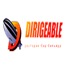 логотип дирижабля