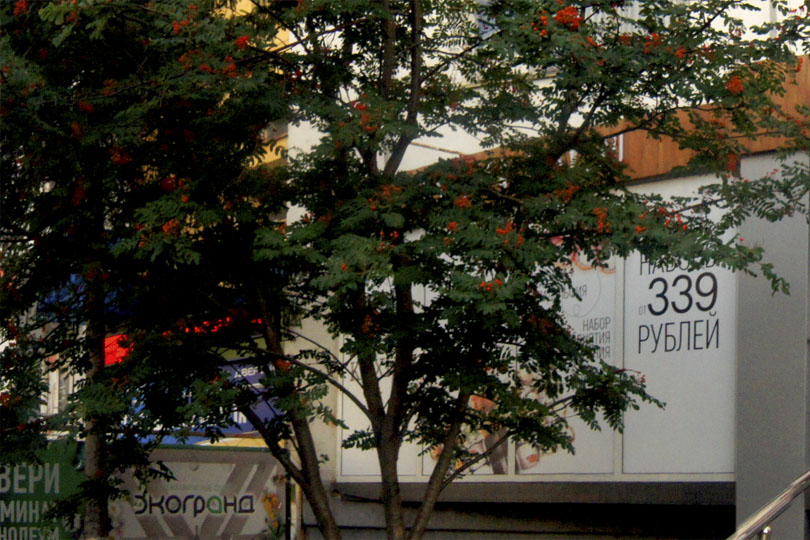 Вход в суши бар Free Way фото 1