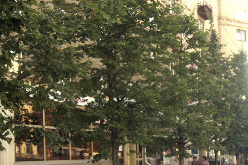 Здание кафе Камакура