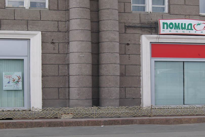 Пиццерия Помидор на площади фото 2