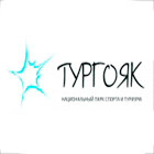 логотип кафе Тургояк 