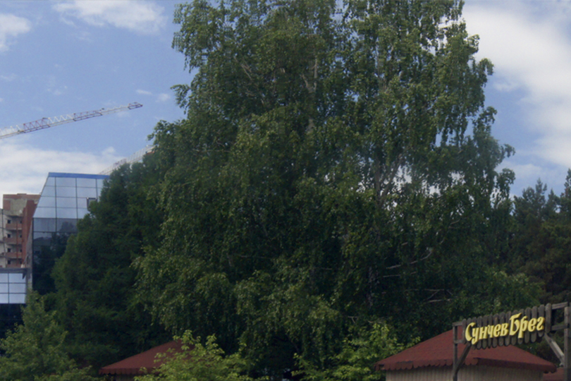 Вход в ресторан Войс фото 3